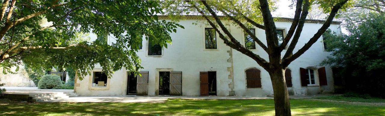 Domaine Du Prieure D'Estagel 호텔 생 질 크루아 드 비 외부 사진